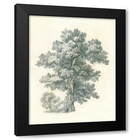 Tree Study I Black Modern Wood Framed Art Print with Double Matting by Wild Apple Portfolio