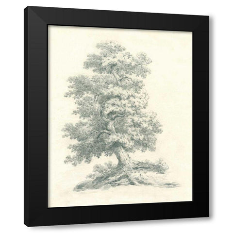 Tree Study II Black Modern Wood Framed Art Print with Double Matting by Wild Apple Portfolio