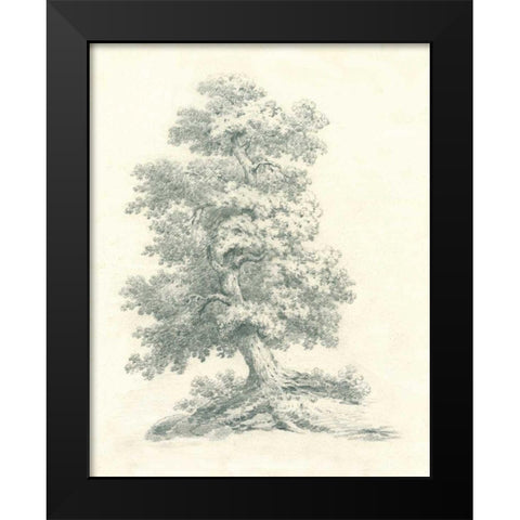 Tree Study II Black Modern Wood Framed Art Print by Wild Apple Portfolio