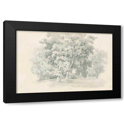 Edge of the Woods Sketch Black Modern Wood Framed Art Print by Wild Apple Portfolio