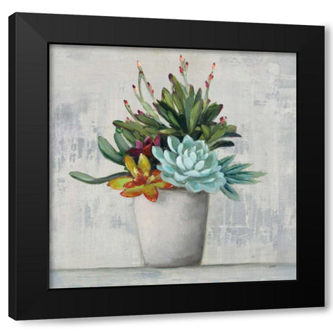 Succulent Still Life I Black Modern Wood Framed Art Print with Double Matting by Purinton, Julia