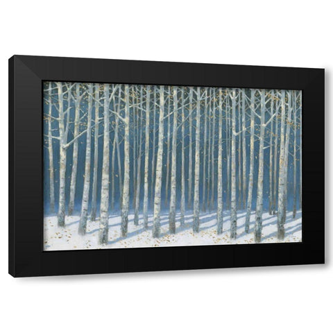 Shimmering Birches Black Modern Wood Framed Art Print with Double Matting by Wiens, James