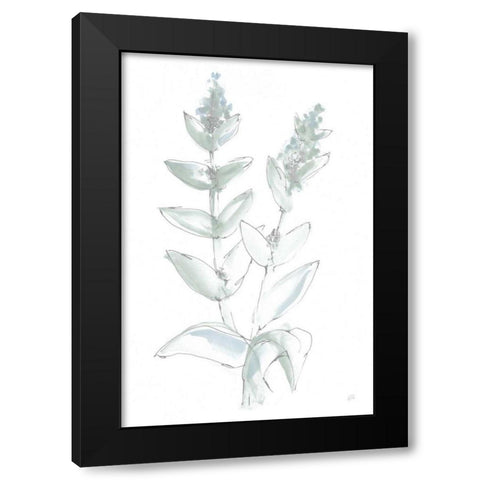 Lambs Ear Sage III Bleached Black Modern Wood Framed Art Print by Paschke, Chris