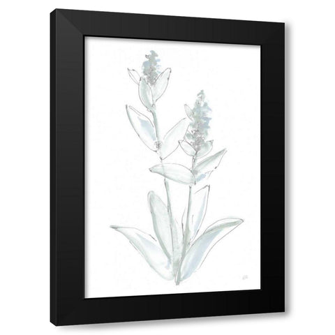 Lambs Ear Sage IV Bleached Black Modern Wood Framed Art Print by Paschke, Chris