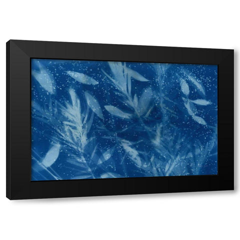 Cyanotype Tropical VII Black Modern Wood Framed Art Print with Double Matting by Green, Nancy