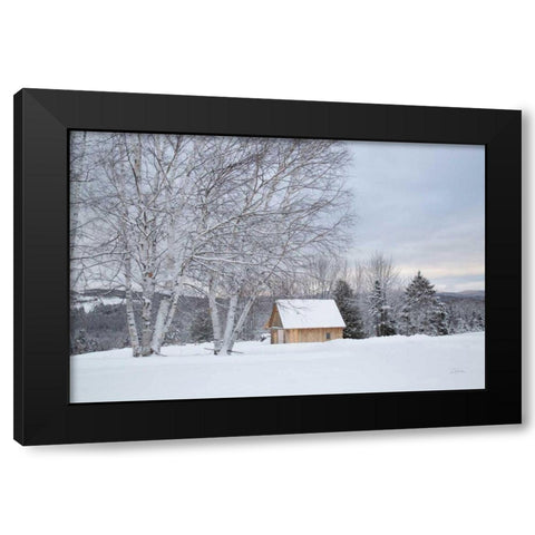 Barn with a View Black Modern Wood Framed Art Print with Double Matting by Aledanda