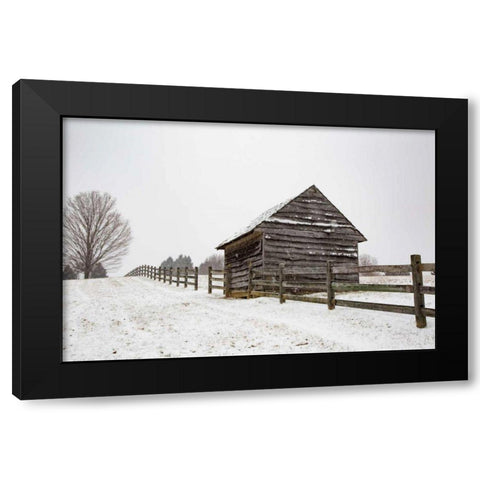 Coming to the Barn Black Modern Wood Framed Art Print by Aledanda