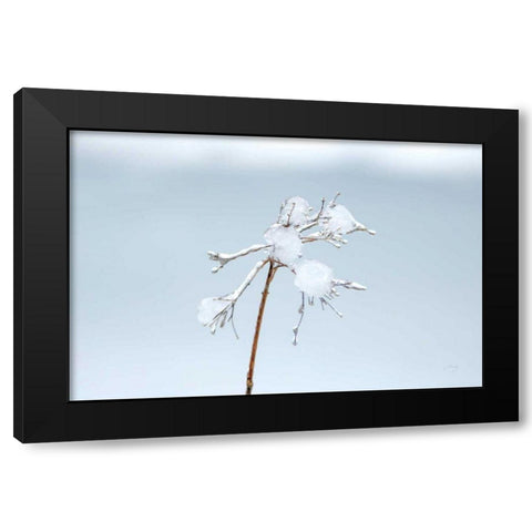 Diamonds in Winter I Black Modern Wood Framed Art Print with Double Matting by Bradley, Felicity