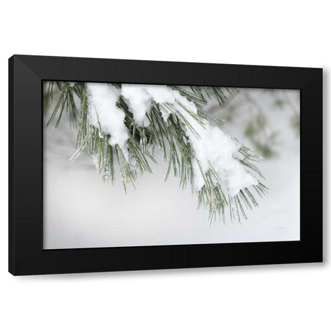 Snowy Bough Black Modern Wood Framed Art Print by Bradley, Felicity