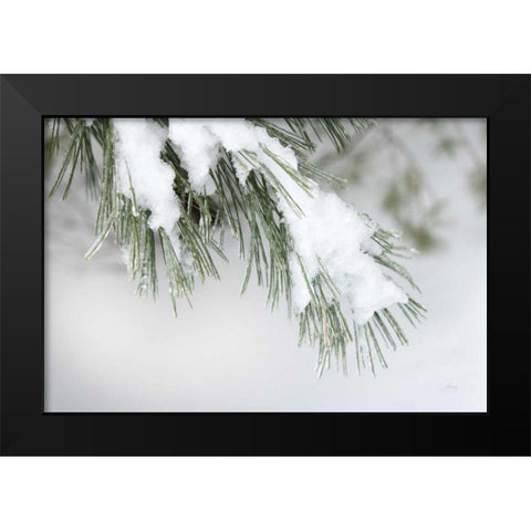 Snowy Bough Black Modern Wood Framed Art Print by Bradley, Felicity
