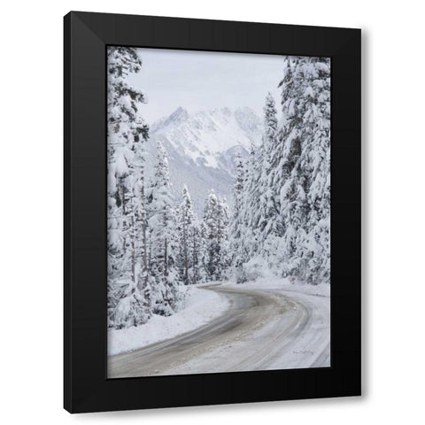 Mount Baker Highway II Black Modern Wood Framed Art Print by Majchrowicz, Alan