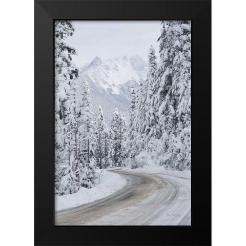 Mount Baker Highway II Black Modern Wood Framed Art Print by Majchrowicz, Alan