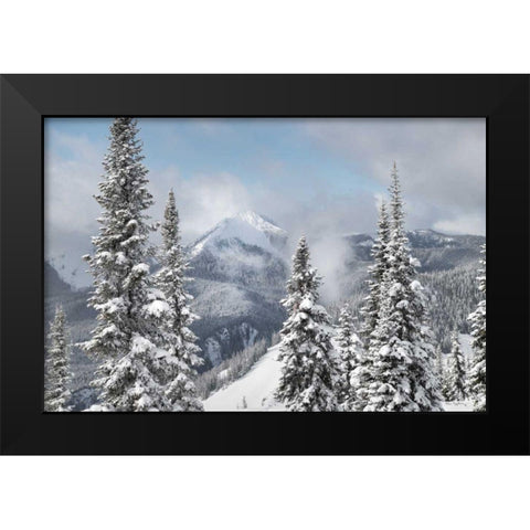 North Cascades in Winter I Black Modern Wood Framed Art Print by Majchrowicz, Alan