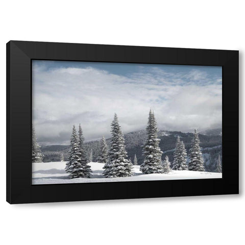 North Cascades in Winter II Black Modern Wood Framed Art Print by Majchrowicz, Alan