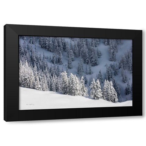 North Cascades in Winter III Black Modern Wood Framed Art Print by Majchrowicz, Alan