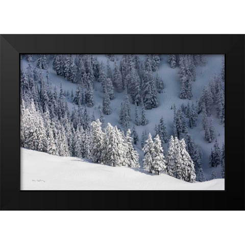 North Cascades in Winter III Black Modern Wood Framed Art Print by Majchrowicz, Alan