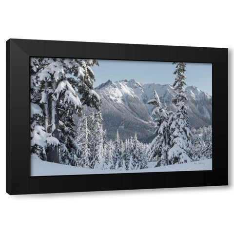 Nooksack Ridge in Winter Black Modern Wood Framed Art Print by Majchrowicz, Alan