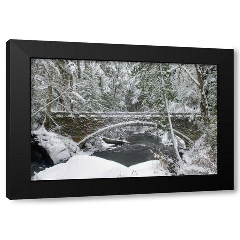 Whatcom Creek Bridge Black Modern Wood Framed Art Print with Double Matting by Majchrowicz, Alan