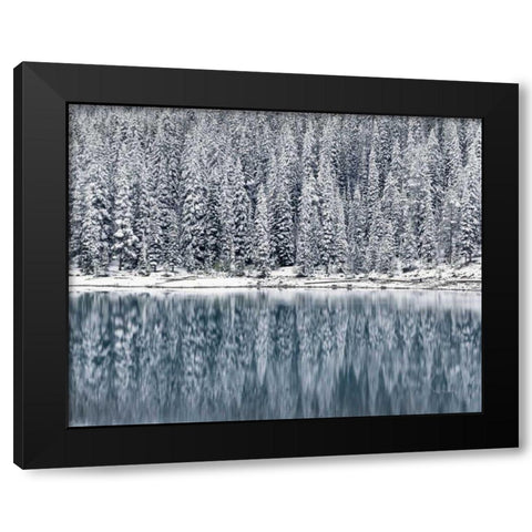 Winter Reflections Black Modern Wood Framed Art Print by Majchrowicz, Alan