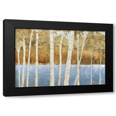 Lakeside Birches Black Modern Wood Framed Art Print with Double Matting by Wiens, James