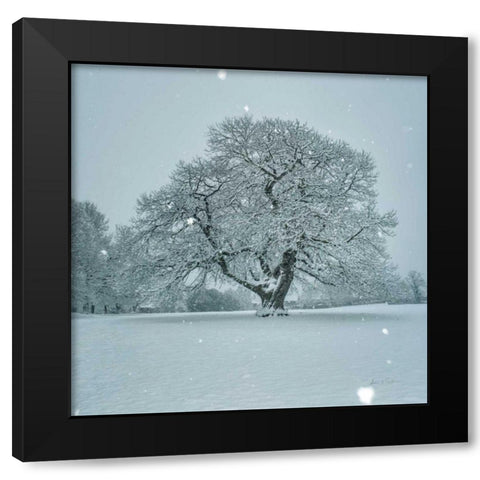 Winter Landscape III Black Modern Wood Framed Art Print with Double Matting by Eichman, Andre