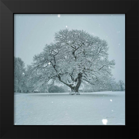 Winter Landscape III Black Modern Wood Framed Art Print by Eichman, Andre