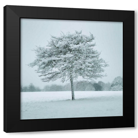 Winter Landscape IV Black Modern Wood Framed Art Print with Double Matting by Eichman, Andre