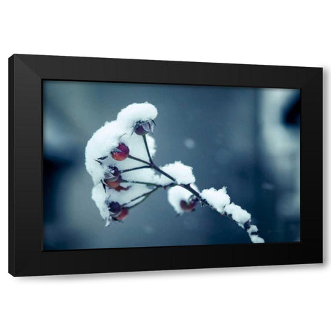 Light and Fluffy Black Modern Wood Framed Art Print by Eichman, Andre