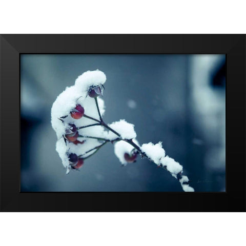Light and Fluffy Black Modern Wood Framed Art Print by Eichman, Andre