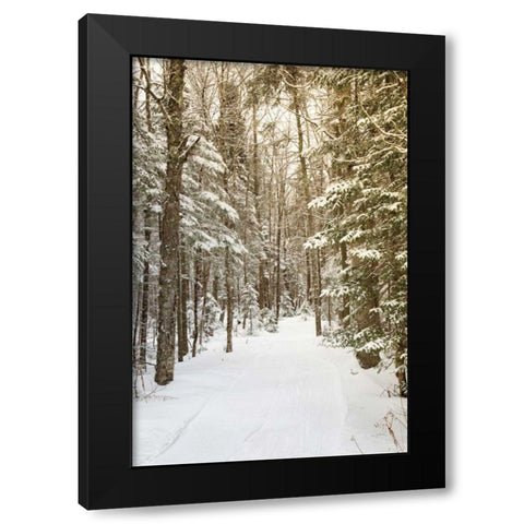 Through the Woods Black Modern Wood Framed Art Print by Aledanda