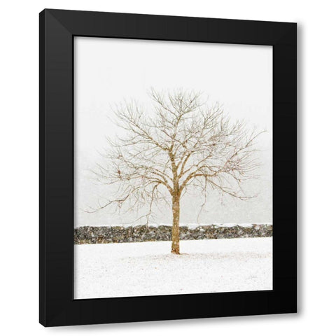 By the Stone Wall Black Modern Wood Framed Art Print by Aledanda