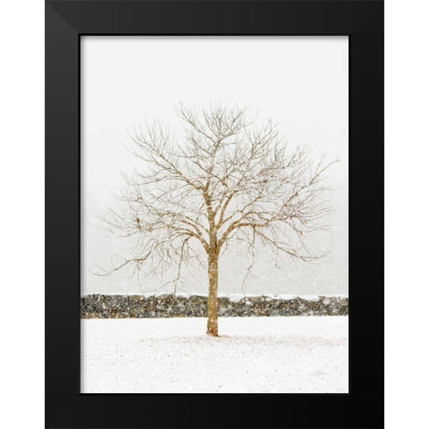 By the Stone Wall Black Modern Wood Framed Art Print by Aledanda