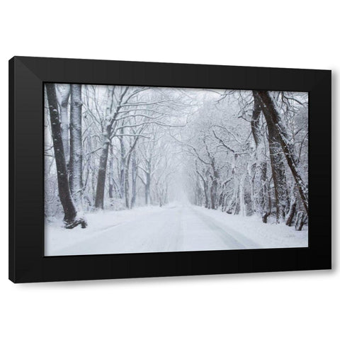 Going Home Black Modern Wood Framed Art Print by Aledanda