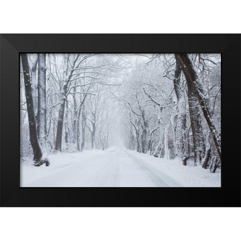 Going Home Black Modern Wood Framed Art Print by Aledanda