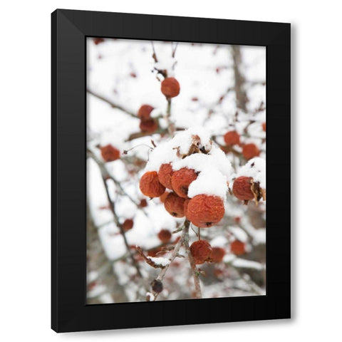Snowcapped Black Modern Wood Framed Art Print by Aledanda