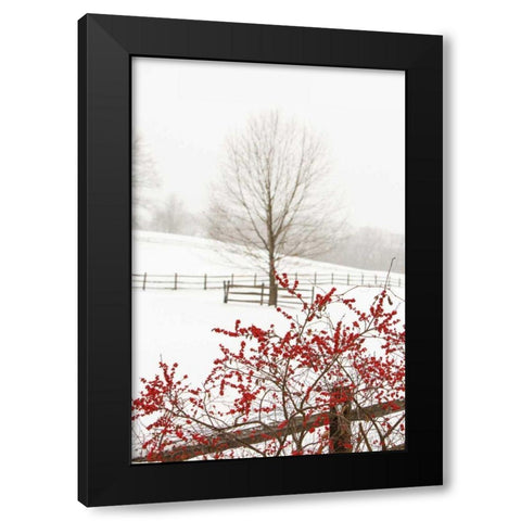 Red on White Black Modern Wood Framed Art Print with Double Matting by Aledanda