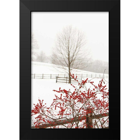 Red on White Black Modern Wood Framed Art Print by Aledanda