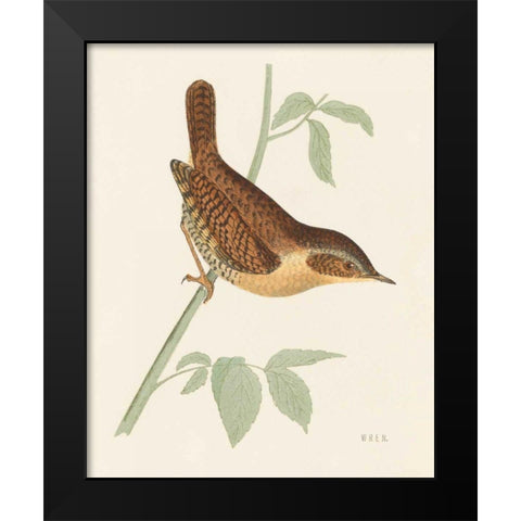 Engraved Birds I Black Modern Wood Framed Art Print by Wild Apple Portfolio