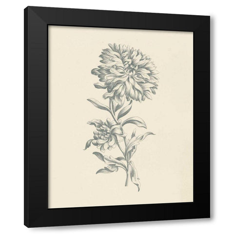 Eden Floral I Black Modern Wood Framed Art Print with Double Matting by Wild Apple Portfolio