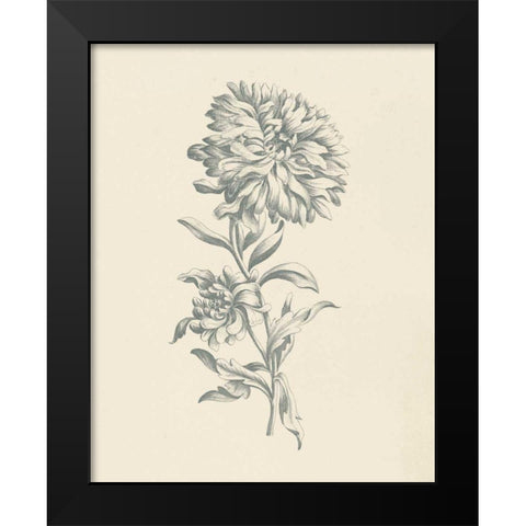 Eden Floral I Black Modern Wood Framed Art Print by Wild Apple Portfolio