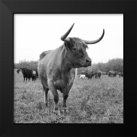 On the Ranch II Black Modern Wood Framed Art Print by Eichman, Andre