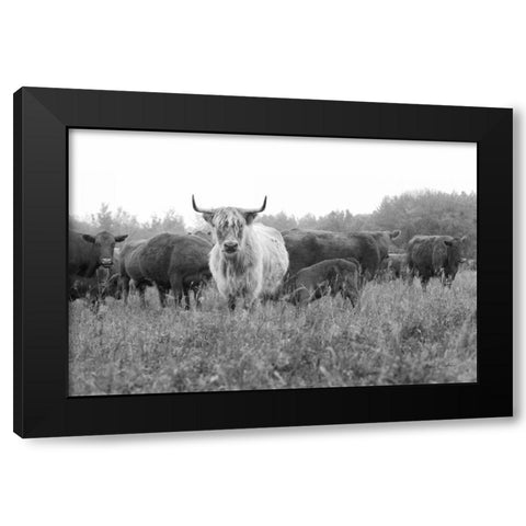 On the Ranch III Black Modern Wood Framed Art Print with Double Matting by Eichman, Andre