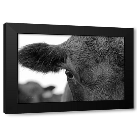 On the Ranch V Black Modern Wood Framed Art Print by Eichman, Andre