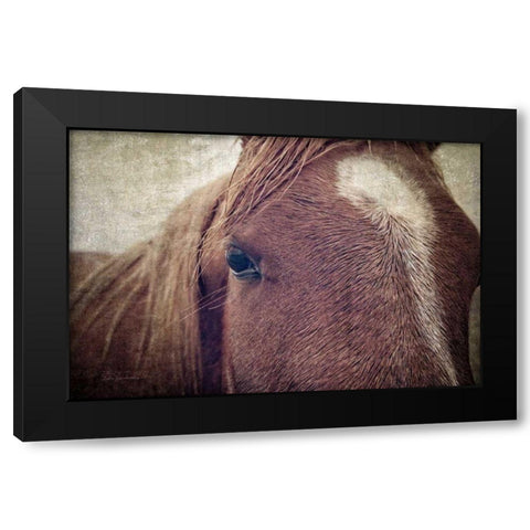 Dew Lashes Black Modern Wood Framed Art Print with Double Matting by Van Swearingen, Debra