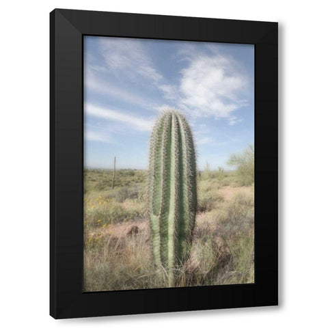 Saguaro Black Modern Wood Framed Art Print with Double Matting by Majchrowicz, Alan