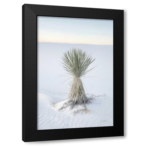 Yucca in White Sands National Monument Black Modern Wood Framed Art Print with Double Matting by Majchrowicz, Alan