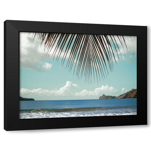 Palm Seashore Black Modern Wood Framed Art Print with Double Matting by Goldstein, Ed