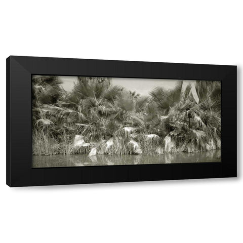 Water Palms Black Modern Wood Framed Art Print by Goldstein, Ed