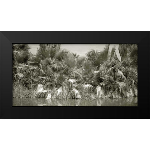 Water Palms Black Modern Wood Framed Art Print by Goldstein, Ed