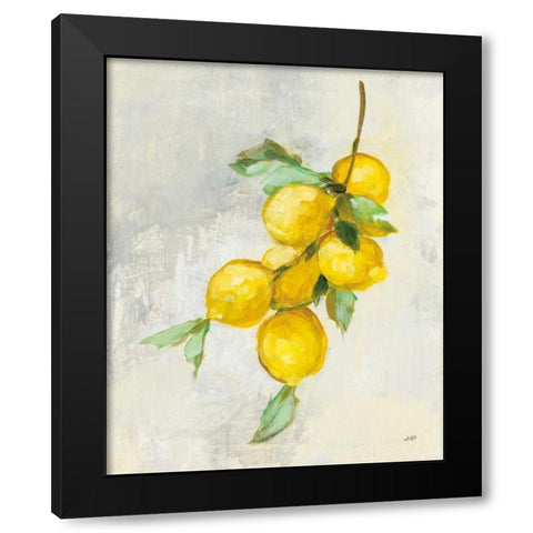 Zest II Black Modern Wood Framed Art Print with Double Matting by Purinton, Julia